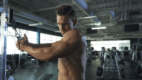 Six Pack Fitness GIF by Bodybuilding.com