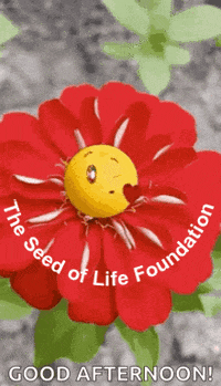 Good-afternoon GIFs - Get the best GIF on GIPHY Good-afternoon GIFs - Get the best GIF on GIPHY