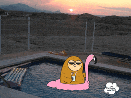 Creamlovers love summer enjoy pool GIF