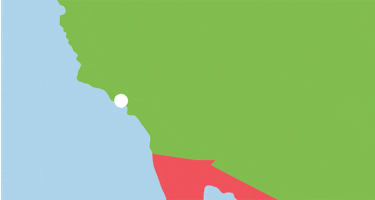 Flying North East GIF by The University of Sunderland