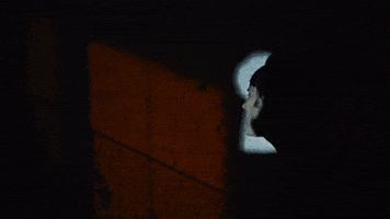 Spying Music Video GIF by Vundabar