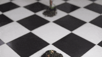 Grow Black And White GIF by linastopmotion