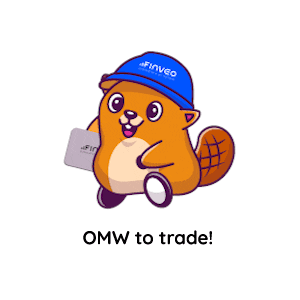 Finveo Sticker