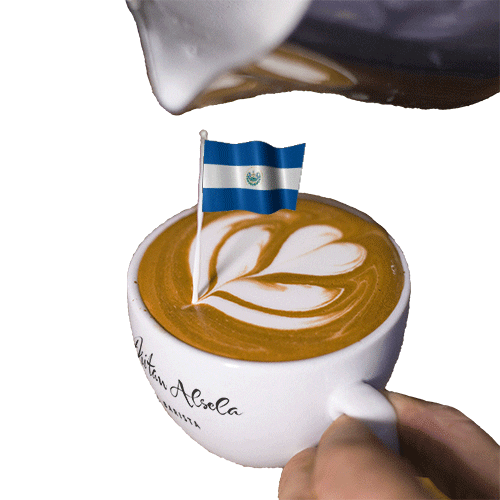 El Salvador Barista GIF by Dritan Alsela Coffee