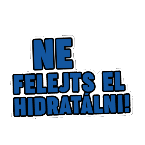 Szentkiralyi Asvanyviz Sticker