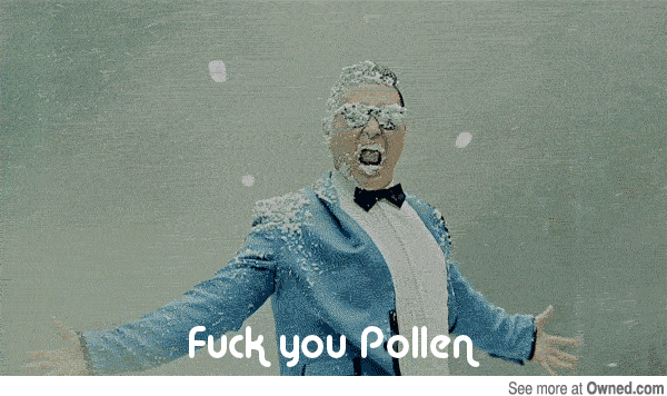 allergies GIF