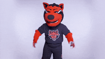 Hype Up Red Wolves GIF by Arkansas State University