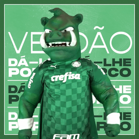 Soccer Futebol GIF by SE Palmeiras
