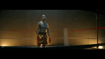 michael-blume lgbtq ring fighter in between GIF