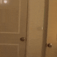 《杰哥不要》聽話，讓我看看 | 經典台灣迷因  "如果早知道" 教育部宣導影片 杰哥不要啦 給我乖乖看影片