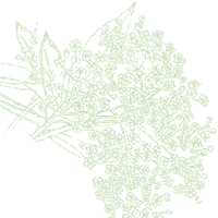 Weingut Türk - JUZZZ Sticker