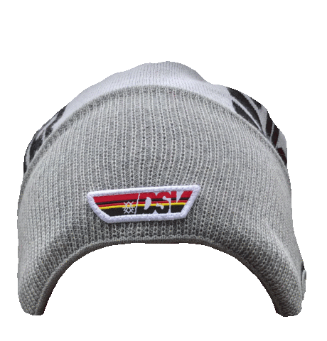 DSV - Deutscher Skiverband Sticker