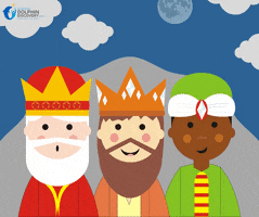 Reyes Magos GIF by Dolphin Discovery