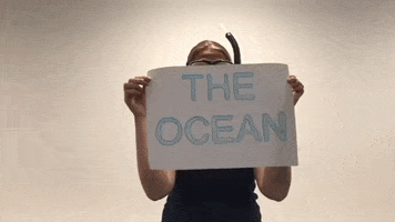Ocean Shark GIF by Project AWARE