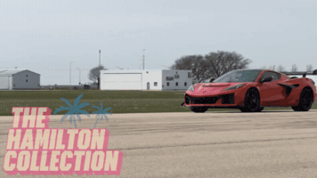Zr1X GIF by TheHamiltonCollection