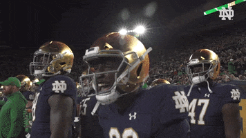 Celebration Clapping GIF by Notre Dame Fighting Irish