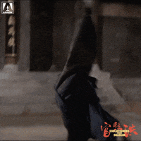 Martial Arts Reaction GIF by Arrow Video