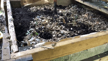Food Trash GIF by Common Ground Compost