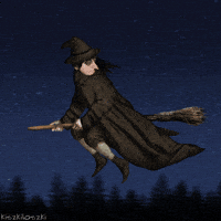 Witch blair cute cat GIF  Find on GIFER