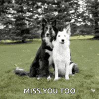 I Miss You Too Gifs Get The Best Gif On Giphy