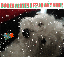 Hotel J. Balmes Vic GIF