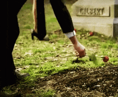 Funeral GIF by autofeaturebot