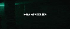 noahgundersen lover official video noah gundersen GIF