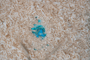 iTrend.store GIF