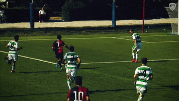 Goal Forza Casteddu GIF by Cagliari Calcio