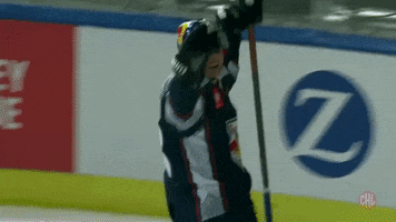 Happy Red Bull GIF by Champions Hockey League
