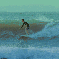 200.gif?cid=fc005b0818610b11073223435205ffccd0fa477d4982020a&rid=200.gif&ct=g