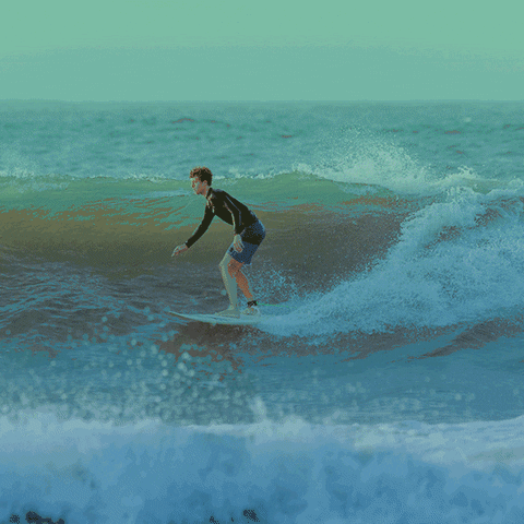 North Carolina Surfing GIF by NC Department of Natural and Cultural Resources