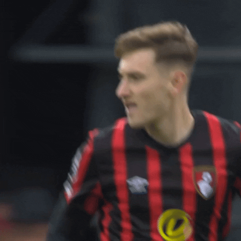 Sorry Premier League GIF by AFC Bournemouth