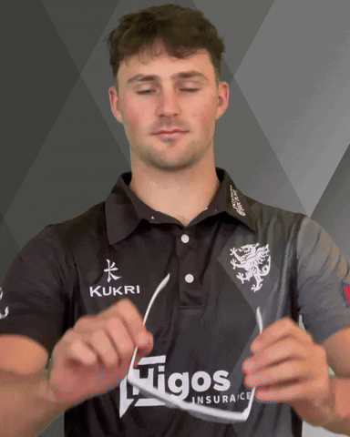 Sunglasses GIF by Somerset County Cricket Club