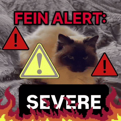 Feinfein2014 GIF