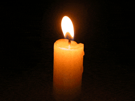 Christmas Candle GIFs - Get the best GIF on GIPHY