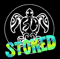 Soulcraft Wake Surf GIF