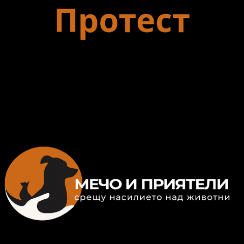 Mechongo GIF by MechoAndFriendsNGO