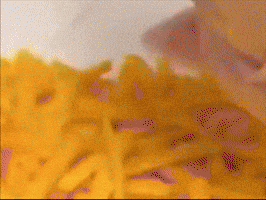 Cheese GIF