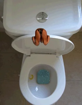toilet diving GIF toilet diving GIF