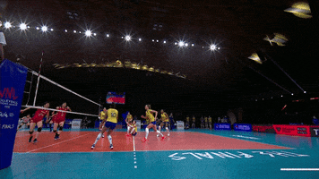 Jump Attacking GIF by Volleyball World