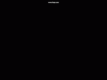 giphy.gif