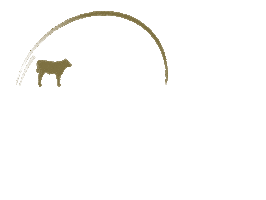 Agro Gado Sticker by Nuctramix