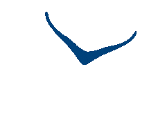 Marathon Frankfurt Sticker by HOKA Europe