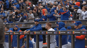 Excited Major League Baseball GIF by New York Mets