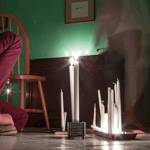 Eugenioinviadigioia GIF