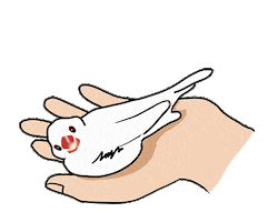 Happy Sleep Sticker