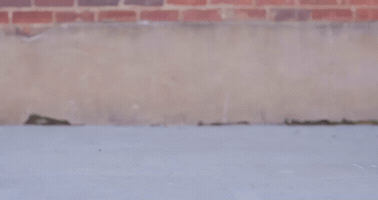 Opie Way GIF