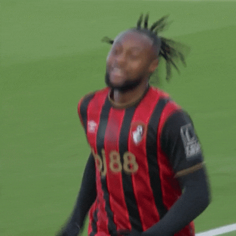 Happy Premier League GIF by AFC Bournemouth