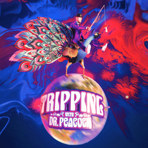 Dr Peacock Hardcore GIF by DVTD MGMT